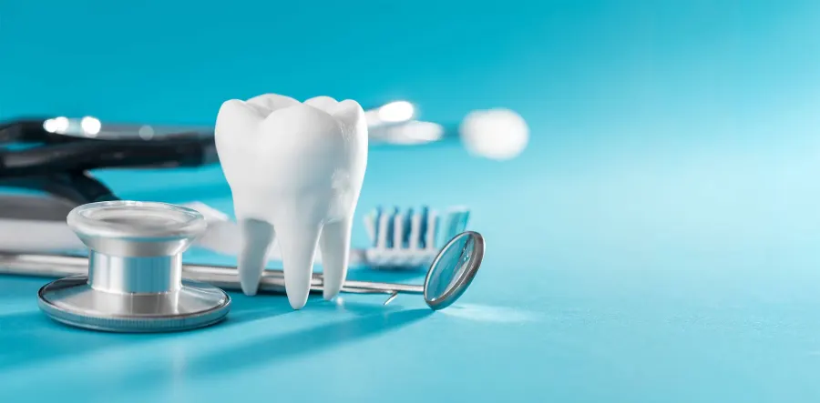 A model tooth beside dental instruments
